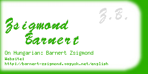 zsigmond barnert business card